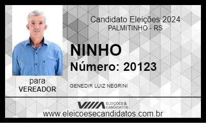 Candidato NINHO 2024 - PALMITINHO - Eleições