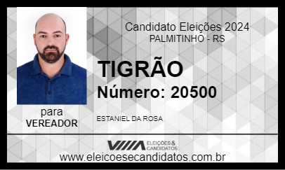 Candidato TIGRÃO 2024 - PALMITINHO - Eleições