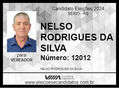 Candidato NELSO RODRIGUES DA SILVA 2024 - SÉRIO - Eleições