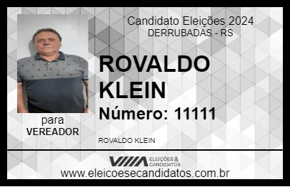 Candidato ROVALDO KLEIN 2024 - DERRUBADAS - Eleições