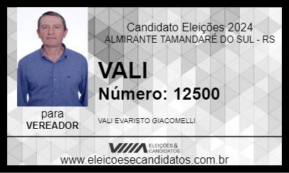 Candidato VALI 2024 - ALMIRANTE TAMANDARÉ DO SUL - Eleições