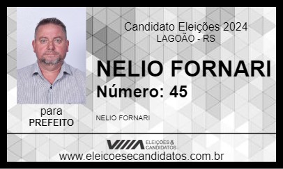 Candidato NELIO FORNARI 2024 - LAGOÃO - Eleições