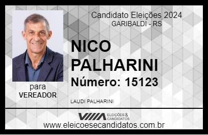 Candidato NICO PALHARINI 2024 - GARIBALDI - Eleições