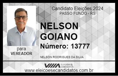 Candidato NELSON GOIANO 2024 - PASSO FUNDO - Eleições