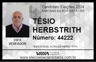 Candidato TÉSIO HERBSTRITH 2024 - SANTANA DA BOA VISTA - Eleições