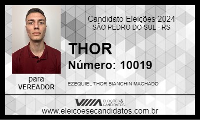 Candidato THOR 2024 - SÃO PEDRO DO SUL - Eleições