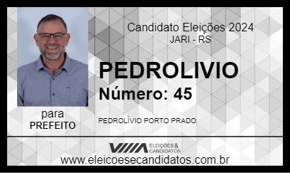 Candidato PEDROLIVIO 2024 - JARI - Eleições