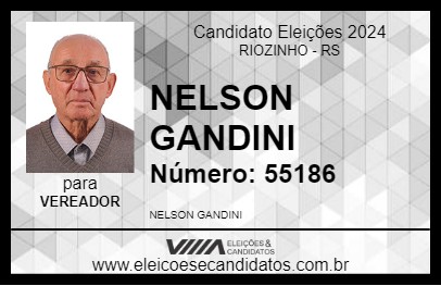 Candidato NELSON GANDINI 2024 - RIOZINHO - Eleições