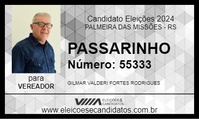 Candidato PASSARINHO 2024 - PALMEIRA DAS MISSÕES - Eleições