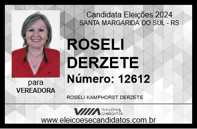 Candidato ROSELI DERZETE 2024 - SANTA MARGARIDA DO SUL - Eleições