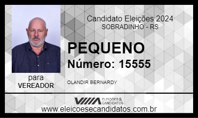 Candidato PEQUENO 2024 - SOBRADINHO - Eleições