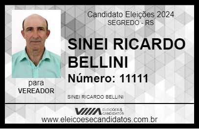 Candidato SINEI RICARDO BELLINI 2024 - SEGREDO - Eleições