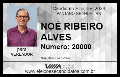 Candidato NOÉ RIBEIRO ALVES 2024 - PANTANO GRANDE - Eleições