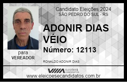 Candidato ADONIR DIAS VÉIO 2024 - SÃO PEDRO DO SUL - Eleições