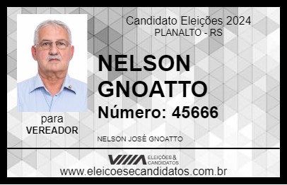 Candidato NELSON GNOATTO 2024 - PLANALTO - Eleições