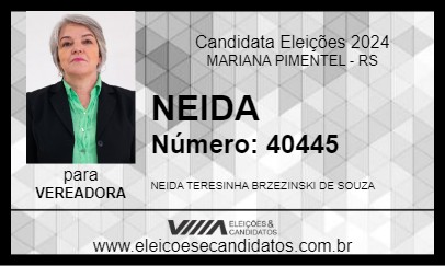 Candidato NEIDA 2024 - MARIANA PIMENTEL - Eleições