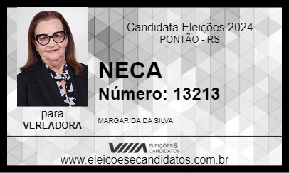 Candidato NECA 2024 - PONTÃO - Eleições