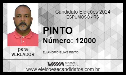 Candidato PINTO 2024 - ESPUMOSO - Eleições