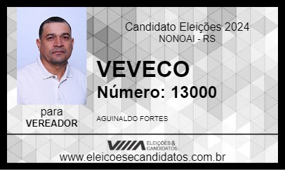 Candidato VEVECO 2024 - NONOAI - Eleições