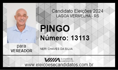 Candidato PINGO 2024 - LAGOA VERMELHA - Eleições