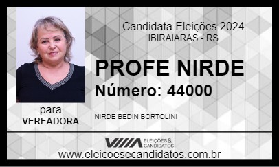 Candidato PROFE NIRDE 2024 - IBIRAIARAS - Eleições