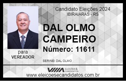 Candidato DAL OLMO CAMPEIRO 2024 - IBIRAIARAS - Eleições