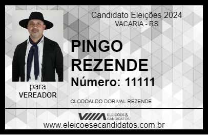 Candidato PINGO REZENDE 2024 - VACARIA - Eleições