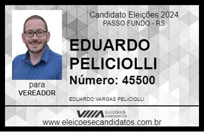 Candidato EDUARDO PELICIOLLI 2024 - PASSO FUNDO - Eleições