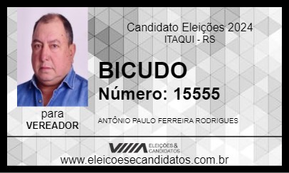 Candidato BICUDO 2024 - ITAQUI - Eleições