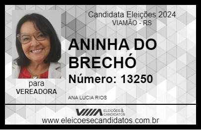 Candidato ANINHA DO BRECHÓ 2024 - VIAMÃO - Eleições