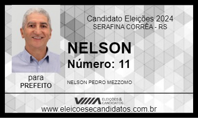 Candidato NELSON 2024 - SERAFINA CORRÊA - Eleições