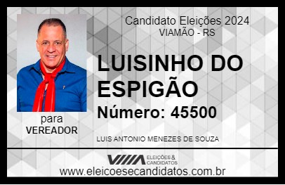 Candidato LUISINHO DO ESPIGÃO 2024 - VIAMÃO - Eleições