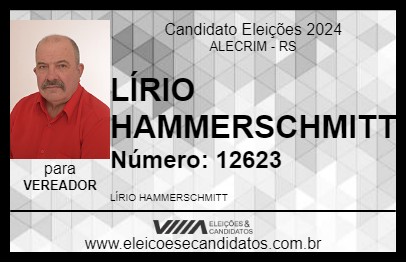 Candidato LÍRIO HAMMERSCHMITT 2024 - ALECRIM - Eleições