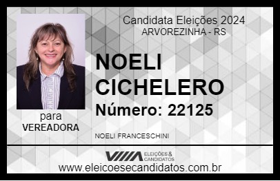 Candidato NOELI CICHELERO 2024 - ARVOREZINHA - Eleições