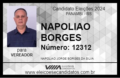 Candidato NAPOLIAO BORGES 2024 - PANAMBI - Eleições