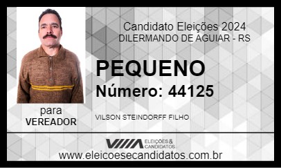 Candidato PEQUENO 2024 - DILERMANDO DE AGUIAR - Eleições