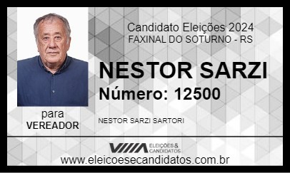 Candidato NESTOR SARZI 2024 - FAXINAL DO SOTURNO - Eleições