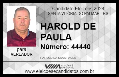 Candidato HAROLD DE PAULA 2024 - SANTA VITÓRIA DO PALMAR - Eleições