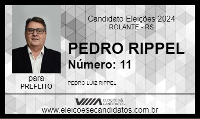 Candidato PEDRO RIPPEL 2024 - ROLANTE - Eleições