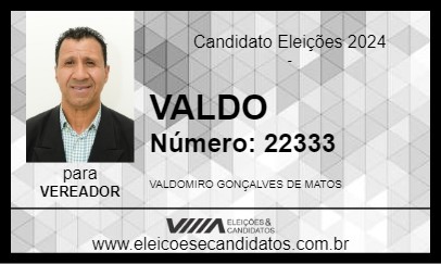 Candidato VALDO 2024 - TAPERA - Eleições