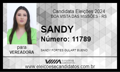 Candidato SANDY 2024 - BOA VISTA DAS MISSÕES - Eleições