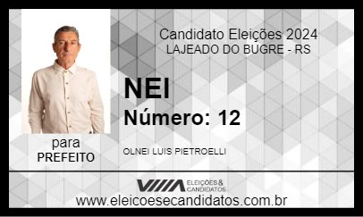 Candidato NEI 2024 - LAJEADO DO BUGRE - Eleições