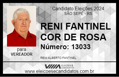 Candidato RENI FANTINEL COR DE ROSA 2024 - SÃO SEPÉ - Eleições