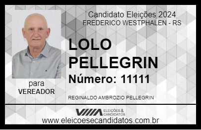 Candidato LOLO PELLEGRIN 2024 - FREDERICO WESTPHALEN - Eleições