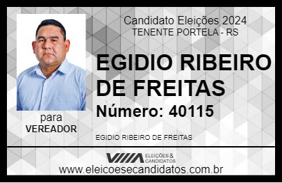 Candidato EGIDIO RIBEIRO DE FREITAS 2024 - TENENTE PORTELA - Eleições