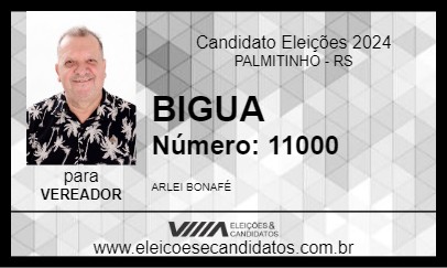 Candidato BIGUA 2024 - PALMITINHO - Eleições