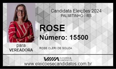 Candidato ROSE 2024 - PALMITINHO - Eleições