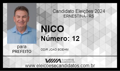 Candidato NICO 2024 - ERNESTINA - Eleições