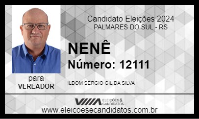 Candidato NENÊ 2024 - PALMARES DO SUL - Eleições