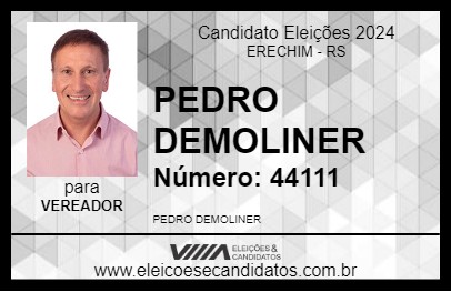 Candidato PEDRO DEMOLINER 2024 - ERECHIM - Eleições